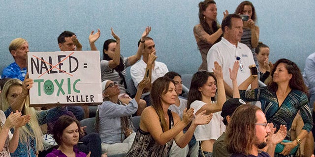Demonstrators cheer as they pack a Miami Beach, Fla., city commission meeting, Wednesday, Sept. 14, 2016, in Miami Beach. Opponents want to stop the aerial spraying of the insecticide naled, used to combat the Aedes aegypti mosquito. They say the pesticide can cause health problems in people. (AP Photo/Wilfredo Lee)