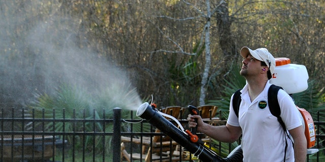 In this Wednesday, Feb. 10, 2016 file photo, Darryl Nevins, owner of a Mosquito Joe franchise, sprays a backyard to control mosquitoes in Houston. Zika has been sweeping through Latin America and the Caribbean in recent months, and the fear is that it will get worse there and arrive in the U.S. with the onset of mosquito season this summer. (AP Photo/Pat Sullivan)