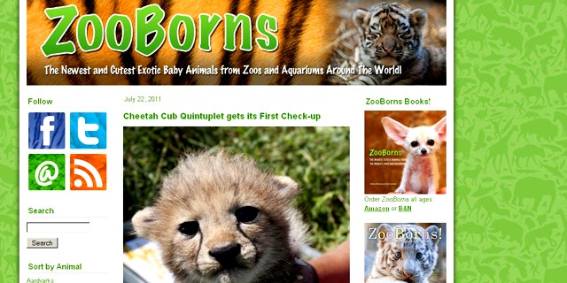 The ZooBorns.com website gives you a daily dose of cuteness: the newest baby animals from zoos around the world.