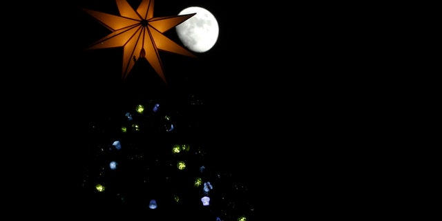 A crescent moon rises above a Christmas tree in St. Peter's Square at the Vatican, Friday, Dec. 13, 2013. The 25-meter (82 feet) tall tree which arrived from Bavaria, Germany was lit Friday evening at the end of ceremony. Big crowds are expected to flock to the square during the holidays to admire the tree. (AP Photo/Andrew Medichini)