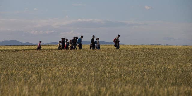 Migrants and refugees walk among fields on their way to Idomeni camp, after trying to cross the Greek-Macedonian border, Saturday, May 14, 2016. Thousands of stranded refugees and migrants are camped at the makeshift refugee camp of the northern Greek border point of Idomeni. (AP Photo/Petros Giannakouris)