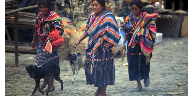 In Guatemala, height differences between the wealthiest women and the poorest was 8 centimeters, or about 3 inches, with the wealthiest women averaging 5 feet 1 inches and the poorest 4 feet 8 inches.