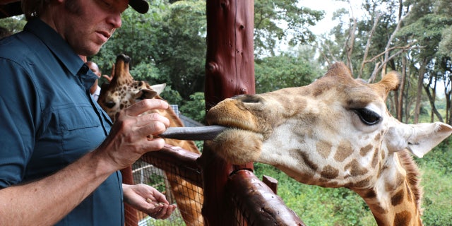 Try new things like feeding a giraffe.