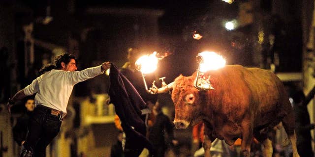 FILE - In this Jan. 17, 2010 file photo, a reveler runs away from a bull with flaming horns during a festivity in honor of Saint Anthony, the patron saint of animals, in the streets of Gilet, a town near Valencia, Spain. The city of Valencia has banned a longtime tradition where bulls are set loose on neighborhood streets with flaming balls of wax or fireworks affixed to their horns. Mayor Joan Ribo cited cruelty to animals for the ban approved Friday, June 10, 2016. The city council also cut funding for bull runs and bullfighting schools but did not move to ban bullfighting. (AP Photo/Alberto Saiz, File)