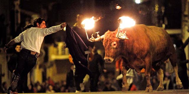 FILE - In this Jan. 17, 2010 file photo, a reveler runs away from a bull with flaming horns during a festivity in honor of Saint Anthony, the patron saint of animals, in the streets of Gilet, a town near Valencia, Spain. The city of Valencia has banned a longtime tradition where bulls are set loose on neighborhood streets with flaming balls of wax or fireworks affixed to their horns. Mayor Joan Ribo cited cruelty to animals for the ban approved Friday, June 10, 2016. The city council also cut funding for bull runs and bullfighting schools but did not move to ban bullfighting. (AP Photo/Alberto Saiz, File)