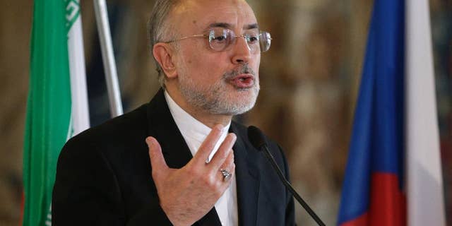 Iran's vice president and nuclear chief Ali Akbar Salehi addresses media during a press conference in Prague, Czech Republic, Monday, May 2, 2016. (AP Photo/Petr David Josek)