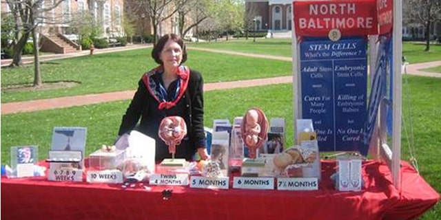 The display, which was initially rejected, shows the development of a fetus at various stages.