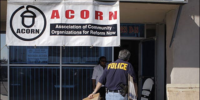 ACORN branches all over the country disbanded in disgrace in 2010, but have come back under new names.