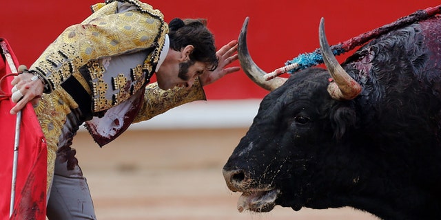 PAMPLONA, SPAIN - JULY 13: Bullfighter Juan Jose Padilla performs with a Fuente Ymbro's fighting bull on the eighth day of the San Fermin Running Of The Bulls festival on July 13, 2013 in Pamplona, Spain. The annual Fiesta de San Fermin, made famous by the 1926 novel of U.S. writer Ernest Hemmingway "The Sun Also Rises," involves the running of the bulls through the historic heart of Pamplona, this year for nine days from July 6-14. (Photo by Pablo Blazquez Dominguez/Getty Images)