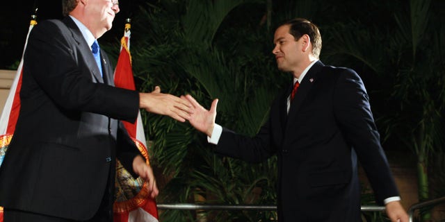 U.S. Senator Marco Rubio and former Governor of Florida Jeb Bush in a November 2010 file photo.