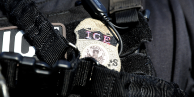 Amid calls for its disbandment, 19 ICE investigators penned a letter to Homeland Security Secretary Kirstjen Nielsen.