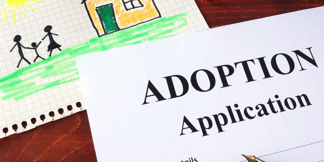 A little girl was told she was getting adopted on her birthday and her reaction has gone viral.
