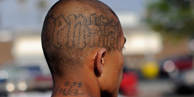 LOS ANGELES, CA - APRIL 29: Tattoos are seen on the head of a twenty-year old "Street Villains" gang member who was arrested by Los Angeles Police Department officers from the 77th Street division on April 29, 2012 in Los Angeles, California. The 77th Street division patrol the same neighborhood that truck driver Reginald Denny was nearly beaten to death by a group of black assailants at the intersection of Florence and Normandie Avenues. Its been 20 years since the verdict was handed down in the Rodney King case that sparked infamous Los Angeles riots. (Photo by Kevork Djansezian/Getty Images)