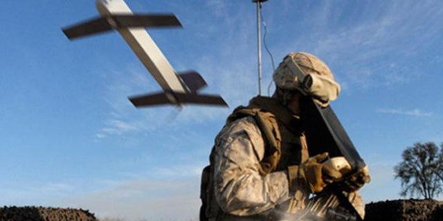 A "suicide drone" from AeroVironment, capable of launching from a small tube, loitering in the sky and then diving at a target upon command.