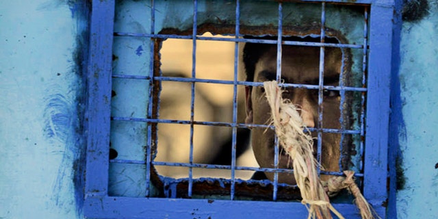 In this Monday, April 25, 2011 file photo, a prisoner looks out of his cell window at the main prison in Kandahar, Afghanistan. The United Nations said Sunday that Afghan authorities were still torturing prisoners, such as hanging them by their wrists and beating them with cables.