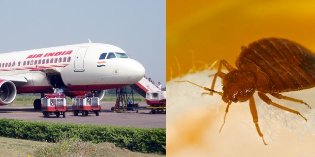 Multiple passengers from the past week have complained about being bitten by bed bugs on Air India flights.