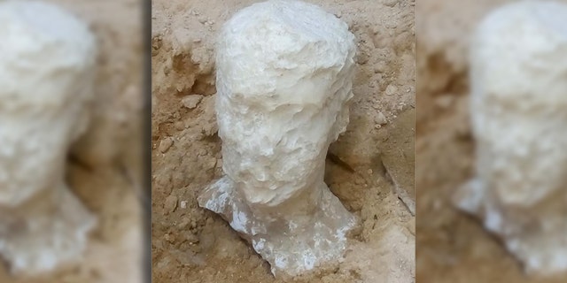The carved alabaster head probably depicts the tomb’s owner (Egyptian Ministry of Antiquities)