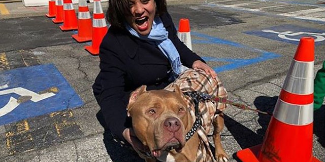 New York state Sen. Marisol Alcantara, D-Manhattan, poses with a dog.