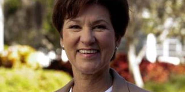 Democratic congressional candidate Alex Sink