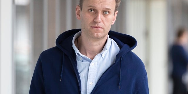 Russian opposition leader Alexei Navalny has been released from jail after serving 25 days for organizing a wave of protests on Friday, July 7, 2017.