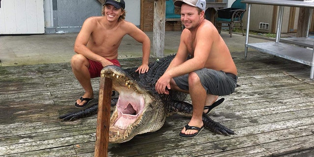 The two fought with the gator for 30 minutes.