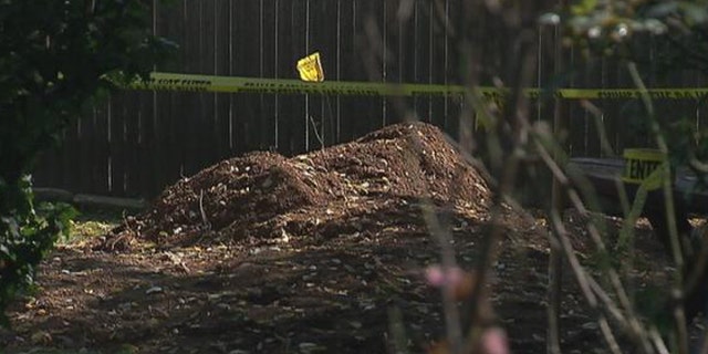 This is a photo of the investigation.
