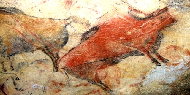 A painted bison on the ceiling of Altamira cave in Spain. The cave is closed to the public because human incursions have caused damage to the 14,000-year-old paintings.
