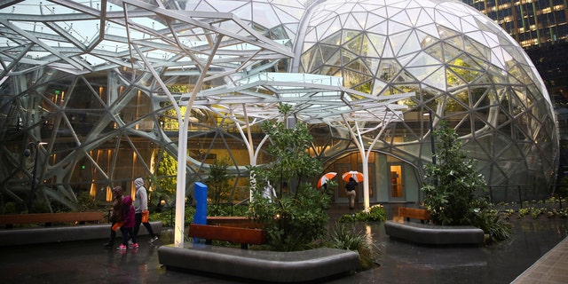 amazon bubbles