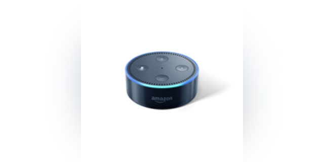 Amazon Echo Dot (Amazon)