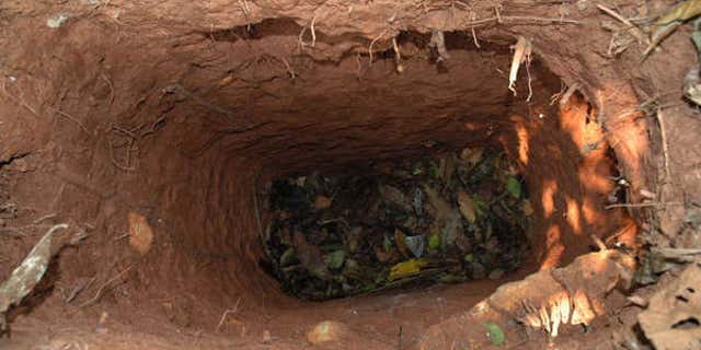 File photo - One of the holes dug by the man. (Survival International)