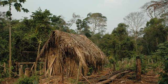 File photo - The man's house and a garden where he grows vegetables. (Survival International)