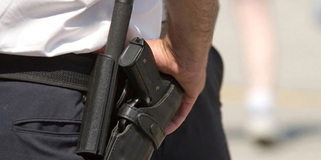 The police who once carried the weapons were reportedly interested in buying them, but Honolulu officials had them destroyed. (Ammoland.com)