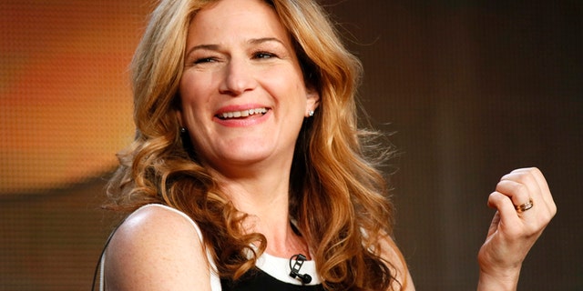 Actor Ana Gasteyer talks about ABC's "Suburgatory" during the Winter 2014 TCA presentations in Pasadena, California, January 17, 2014.