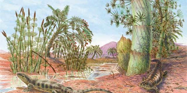 Fossil tracks suggest an ancient reptile was about the size of a gecko and lived in an Outback-like environment some 318 million years ago.
