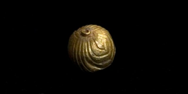 A gold bell is displayed at the offices of IAA, Israel's Antiquities Authority in Jerusalem, Sunday, July 24, 2011.