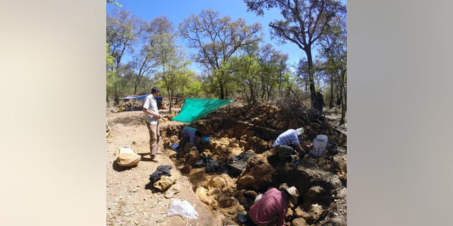 University of Washington graduate student Rodrigo Solinis-Casparius oversees excavation at Angamuco.