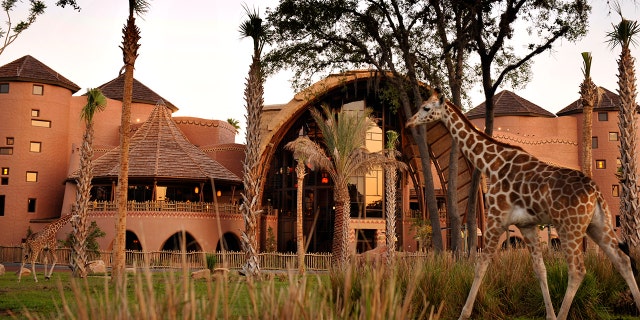 A man fell at Walt Disney World's Animal Kingdom Lodge the same day a 33-year-old cast member suffered a fatal accident.