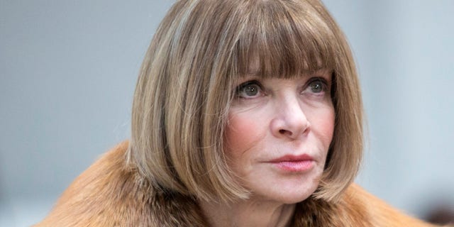 Anna Wintour revealed on Monday that the Met Gala has been postponed.