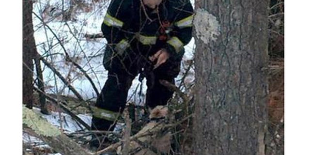Firefighter works to untangle injured dog, Annabellle. (Orange Police Department)