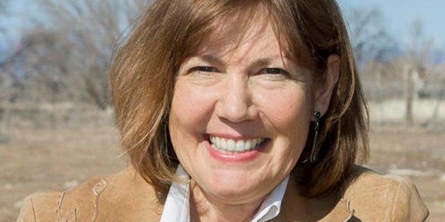 US Rep. Ann Kirkpatrick of Arizona.