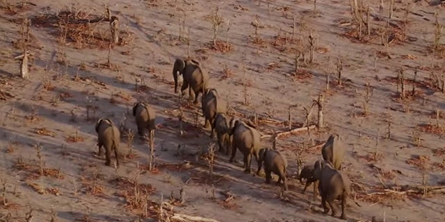 The University of Maryland and The Lindbergh Foundation are currently raising money to create Air Shepherd, a drone initiative that will will provide UAV technology and training to rangers at various state parks in Africa. (AirShepherd.org)