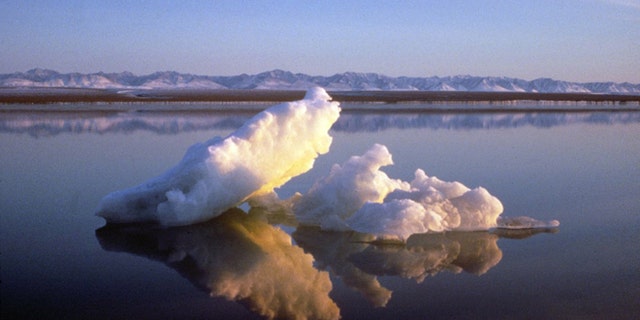 Sea ice floats within the 1002 Area of the Arctic National Wildlife Refuge in this undated handout photo provided by the U.S. Fish and Wildlife Service Alaska Image Library.