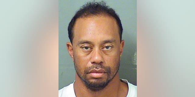 4c76ecf1-tiger woods