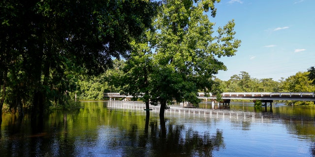CORRECTS STATE FROM ALABAMA TO MISSISSIPPI -The Pascagoula River spills over its banks as tropical storm Cindy dropped heavy rain in the area, Saturday, June 24, 2017, in Merrill, Miss. (AP Photo/Butch Dill)