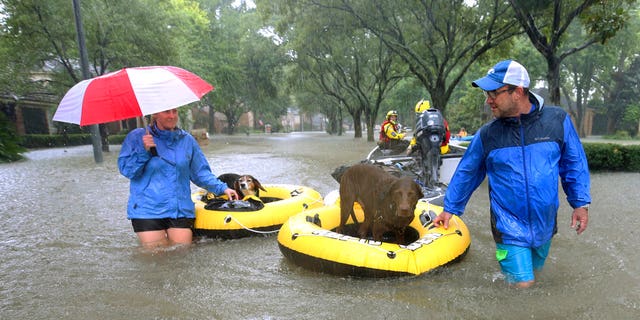 Residents and pets are evacuated from their homes as floodwaters from Tropical Storm Harvey rise, Monday, Aug. 28, 2017, in Houston. (Godofredo A. Vasquez/Houston Chronicle via AP)