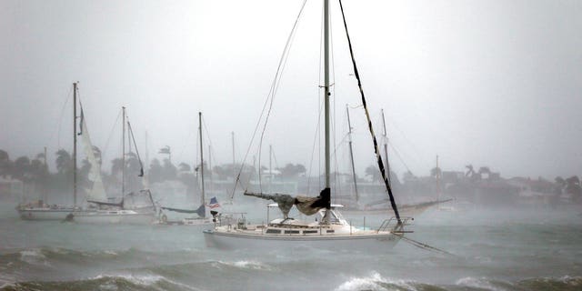 Sailboats moored near Watson Island ride out the winds and waves as Hurricane Irma passes by, Sunday, Sept. 10, 2017, in Miami Beach, Fla. (AP Photo/Wilfredo Lee)
