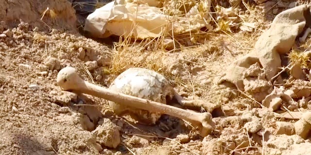 Kirkuk governor Rakan Saed said Sunday that the bodies of civilians and security forces have been found at the mass grave that could contain up to 400 bodies. (Kirkuk Governor's Office via AP)