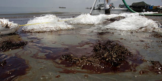 A worker uses a suction hose to remove oil washed ashore from the Deepwater Horizon spill, in Belle Terre, La., June 9, 2010.