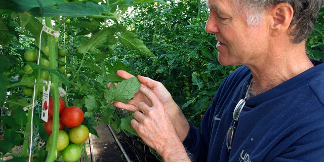 An inspector would certify that the farm has complied with the new standards, and the farms — not distributors — would add the label.