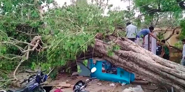 A powerful dust storm and rain swept parts of north and western India overnight, causing house collapses, toppling trees and leaving dozens dead and more than 160 injured, officials said.